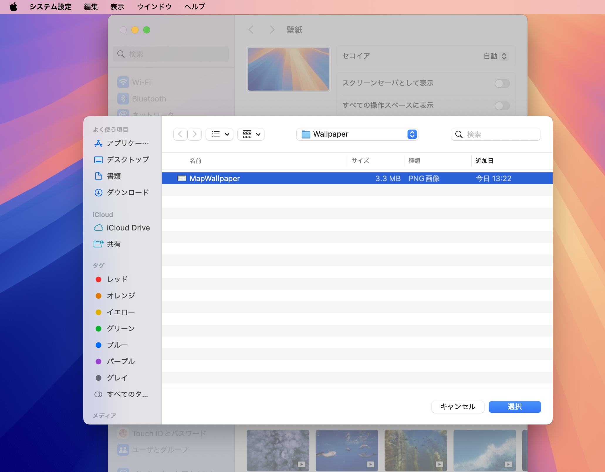 システム設定からのファイル選択画面